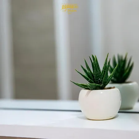 'a Vadera ベッド・アンド・ブレックファスト Ruviano